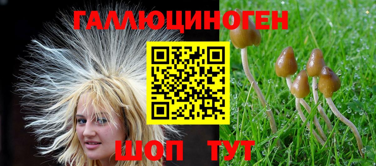 Галлюциногенные грибы ЛСД  Вход с VPN  Топки 