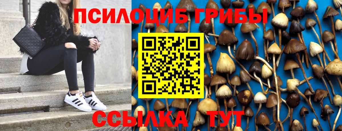Псилоцибиновые грибы Magic Shrooms Топки